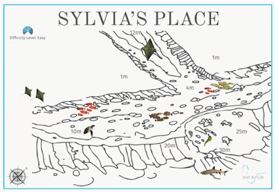 Sylvias Place